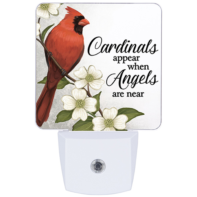 "Cardinal" Nightlight