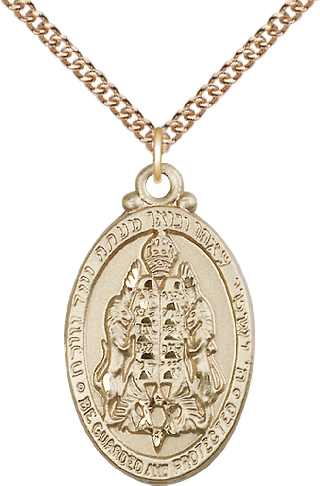 14kt Gold Filled Jewish Protection Pendant on a 24 inch Gold Filled Heavy Curb chain