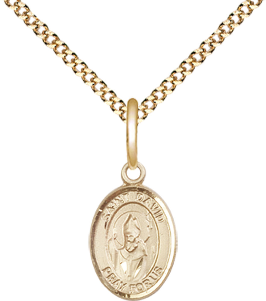 14kt Gold Filled Saint David of Wales Pendant on a 18 inch Gold Plate Light Curb chain
