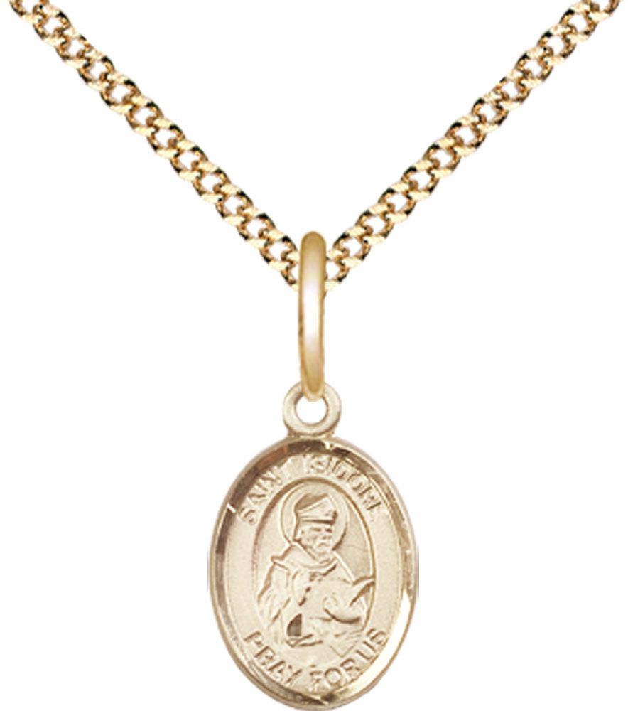 14kt Gold Filled Saint Isidore of Seville Pendant on a 18 inch Gold Plate Light Curb chain