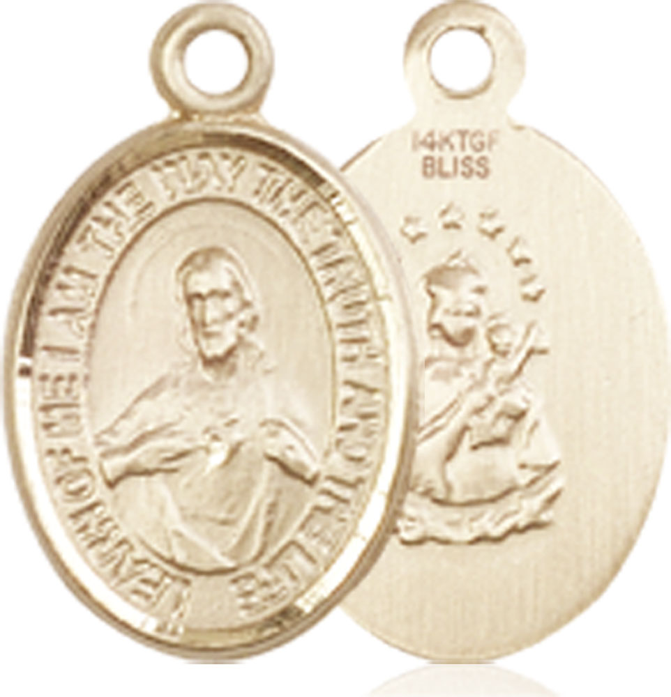 14kt Gold Filled Scapular Medal