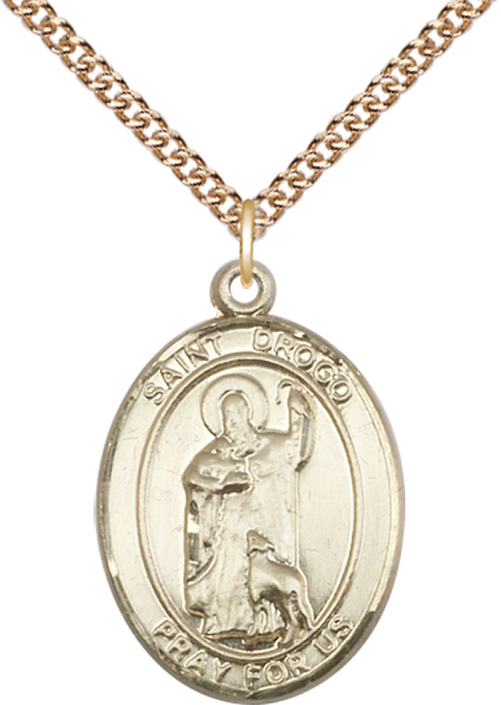 14kt Gold Filled Saint Drogo Pendant on a 24 inch Gold Filled Heavy Curb chain