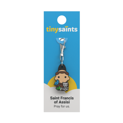 Tiny Saint: St. Francis Of Assisi