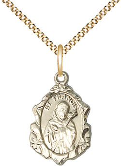 14kt Gold Filled Saint Francis Pendant on a 18 inch Gold Filled Light Curb chain