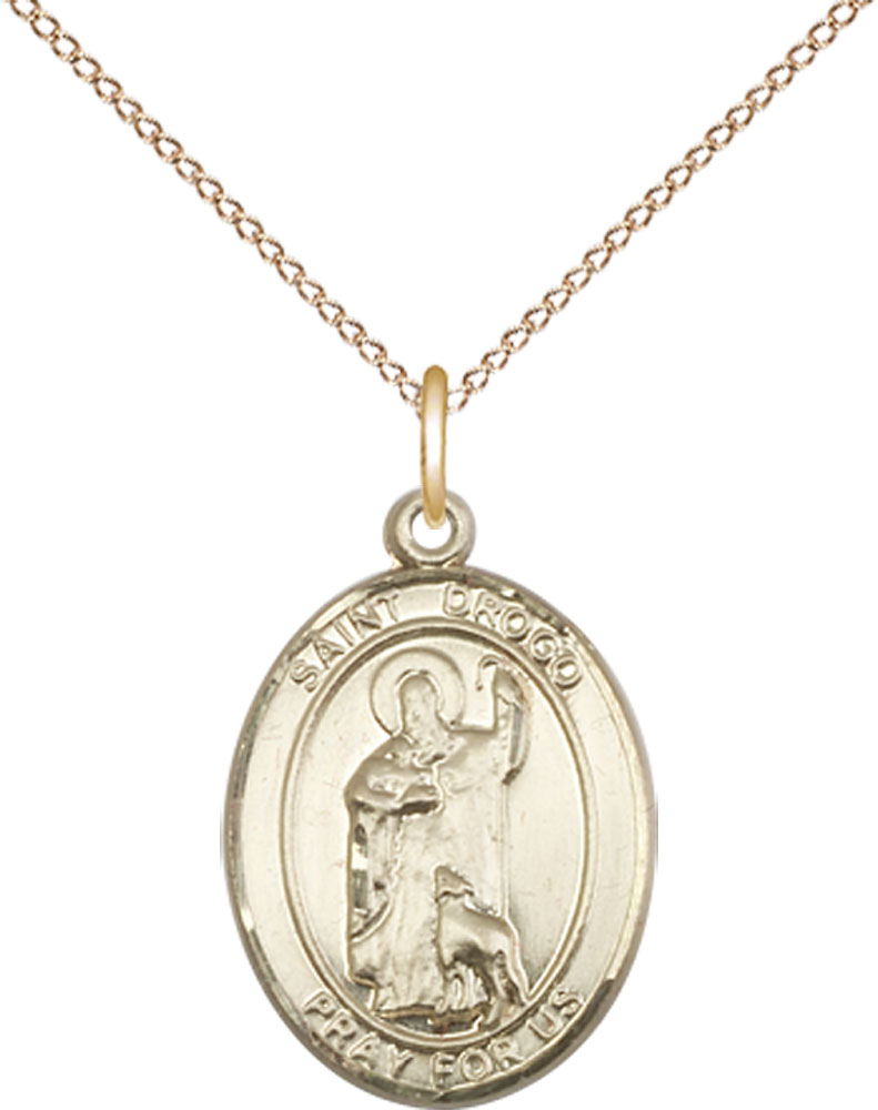 14kt Gold Filled Saint Drogo Pendant on a 18 inch Gold Filled Light Curb chain