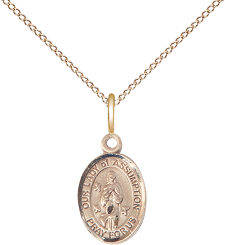 14kt Gold Filled Our Lady of Assumption Pendant on a 18 inch Gold Filled Light Curb chain