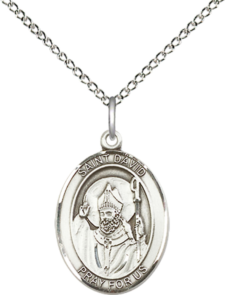 Sterling Silver Saint David of Wales Pendant on a 18 inch Sterling Silver Light Curb chain