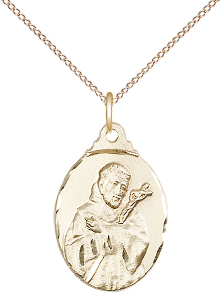 14kt Gold Filled Saint Francis Pendant on a 18 inch Gold Filled Light Curb chain