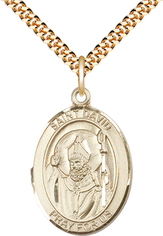 14kt Gold Filled Saint David of Wales Pendant on a 24 inch Gold Plate Heavy Curb chain