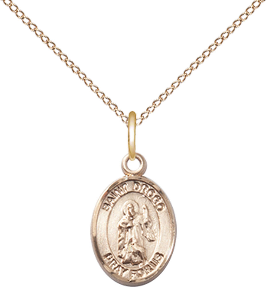 14kt Gold Filled Saint Drogo Pendant on a 18 inch Gold Filled Light Curb chain