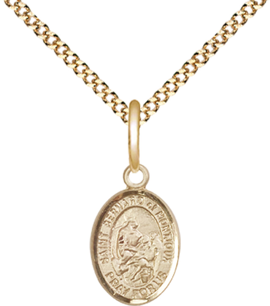 14kt Gold Filled Saint Bernard of Montjoux Pendant on a 18 inch Gold Plate Light Curb chain