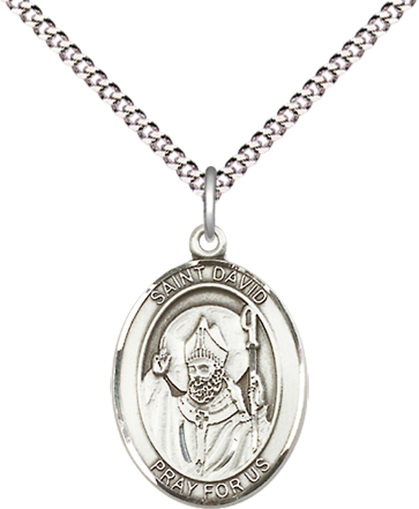 Sterling Silver Saint David of Wales Pendant on a 18 inch Light Rhodium Light Curb chain