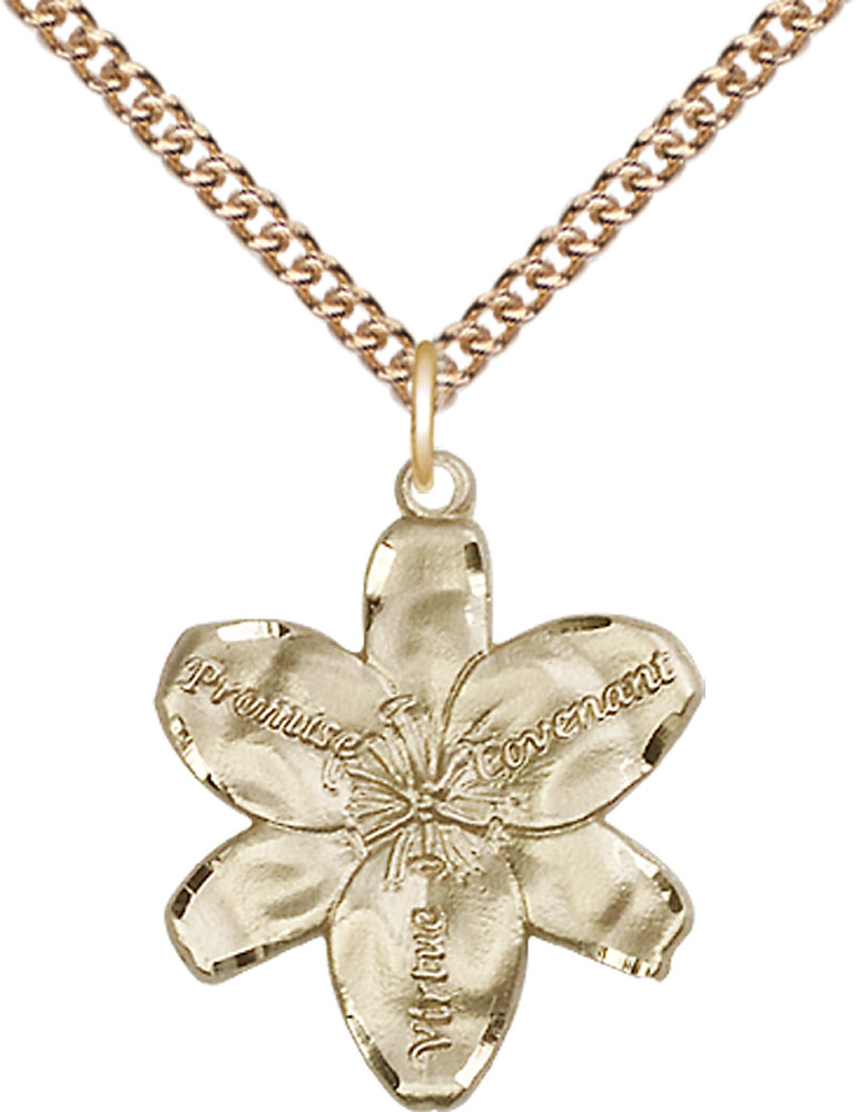 14kt Gold Filled Chastity Pendant on a 24 inch Gold Filled Heavy Curb chain