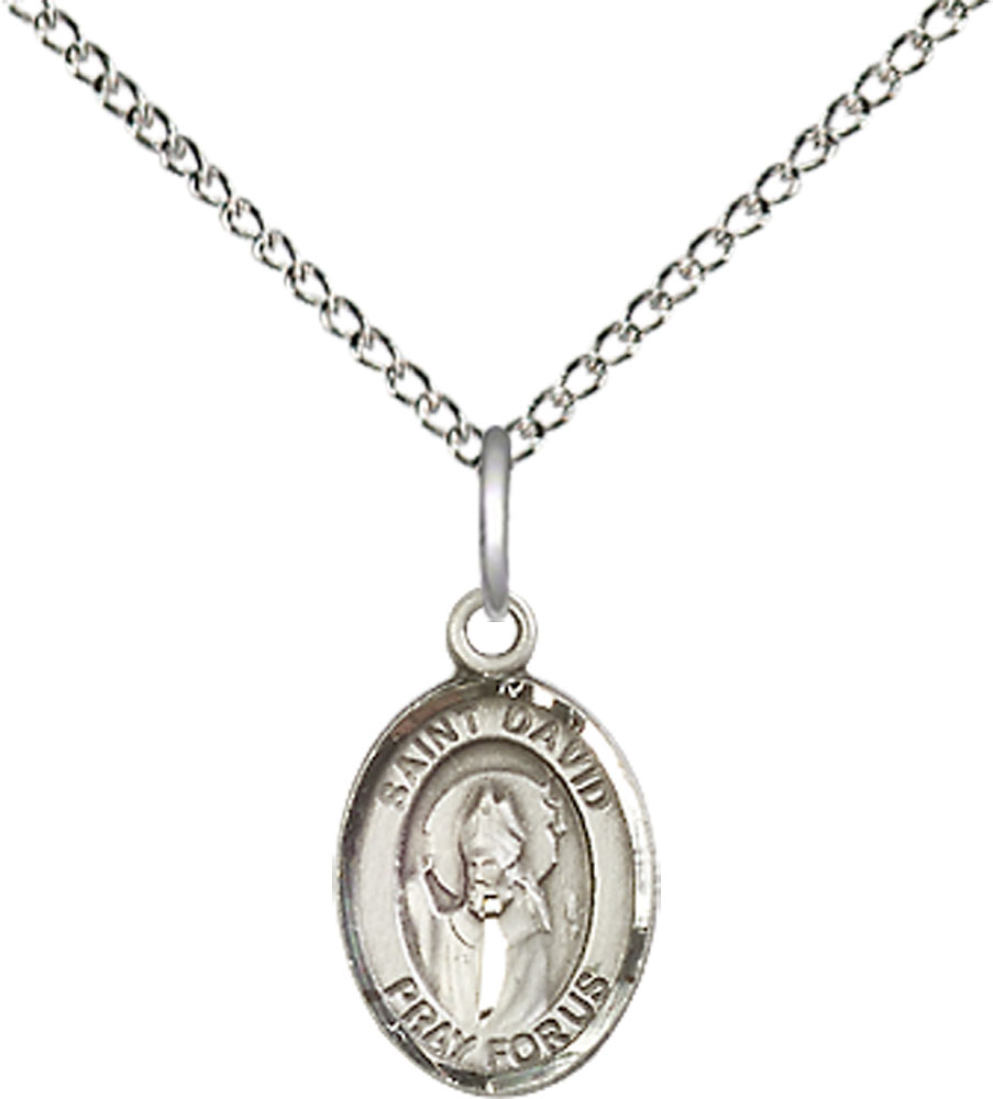 Sterling Silver Saint David of Wales Pendant on a 18 inch Sterling Silver Light Curb chain