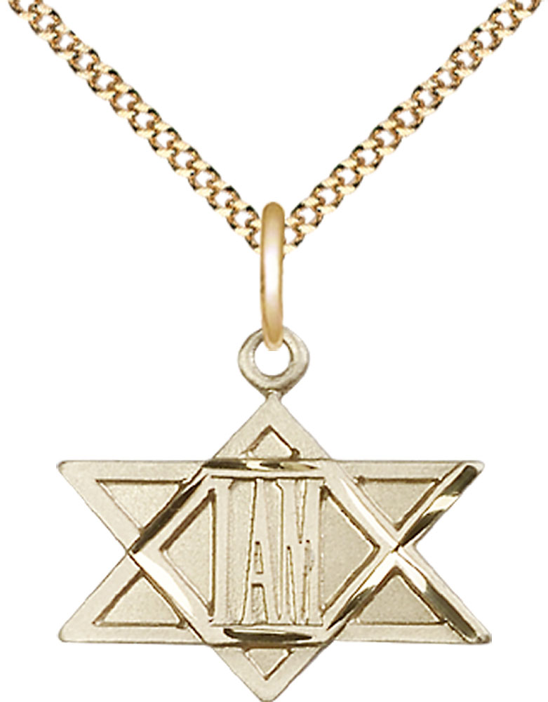 14kt Gold Filled I Am / Star of David Pendant on a 18 inch Gold Plate Light Curb chain
