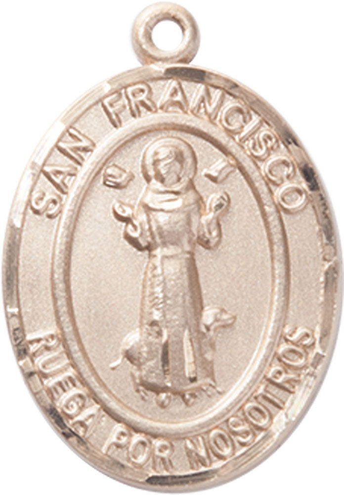 14kt Gold Filled San Francis Medal