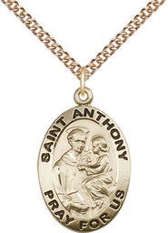 [4021GF/24GF] 14kt Gold Filled Saint Anthony of Padua Pendant on a 24 inch Gold Filled Heavy Curb chain