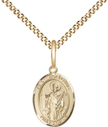 [9323GF/18G] 14kt Gold Filled Saint Wolfgang Pendant on a 18 inch Gold Plate Light Curb chain