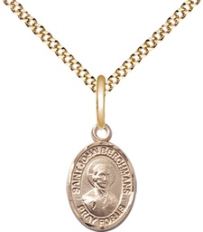 [9370GF/18G] 14kt Gold Filled Saint John Berchmans Pendant on a 18 inch Gold Plate Light Curb chain