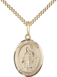 [8084GF/18G] 14kt Gold Filled Saint Patrick Pendant on a 18 inch Gold Plate Light Curb chain
