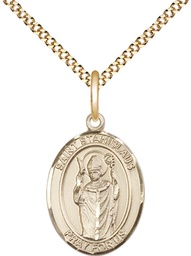 [8124GF/18G] 14kt Gold Filled Saint Stanislaus Pendant on a 18 inch Gold Plate Light Curb chain