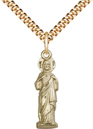 [5935GF/24G] 14kt Gold Filled Sacred Heart Pendant on a 24 inch Gold Plate Heavy Curb chain