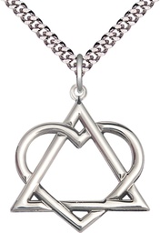 [6210SS/24S] Sterling Silver Adoption Heart Pendant on a 24 inch Light Rhodium Heavy Curb chain