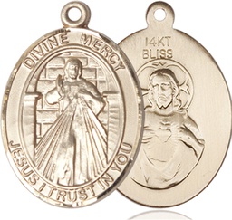 [7366KT] 14kt Gold Divine Mercy Medal