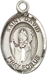 [9027SS] Sterling Silver Saint David of Wales Medal