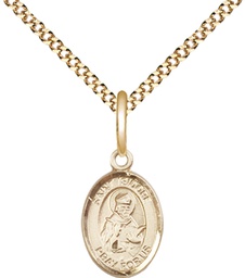 [9049GF/18G] 14kt Gold Filled Saint Isidore of Seville Pendant on a 18 inch Gold Plate Light Curb chain