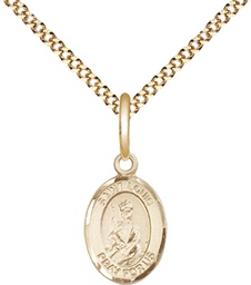 [9081GF/18G] 14kt Gold Filled Saint Louis Pendant on a 18 inch Gold Plate Light Curb chain