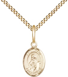 [9086GF/18G] 14kt Gold Filled Saint Paul the Apostle Pendant on a 18 inch Gold Plate Light Curb chain