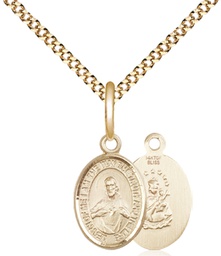 [9098GF/18G] 14kt Gold Filled Scapular Pendant on a 18 inch Gold Plate Light Curb chain