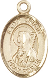 [9123GF] 14kt Gold Filled Saint Brigid of Ireland Medal