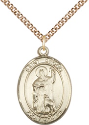 [7386GF/24GF] 14kt Gold Filled Saint Drogo Pendant on a 24 inch Gold Filled Heavy Curb chain