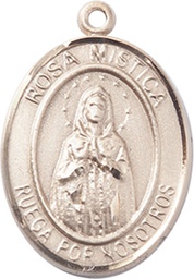 [7413SPGF] 14kt Gold Filled Rosa Mystica Medal