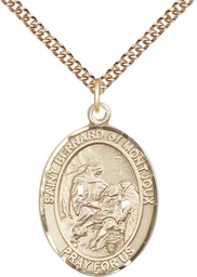 [7264GF/24GF] 14kt Gold Filled Saint Bernard of Montjoux Pendant on a 24 inch Gold Filled Heavy Curb chain