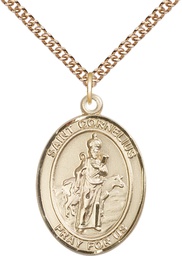 [7325GF/24GF] 14kt Gold Filled Saint Cornelius Pendant on a 24 inch Gold Filled Heavy Curb chain