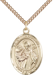[7351GF/24GF] 14kt Gold Filled Saint Januarius Pendant on a 24 inch Gold Filled Heavy Curb chain