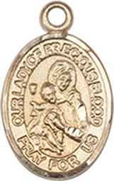 [9448KT] 14kt Gold Our Lady of the Precious Blood Medal