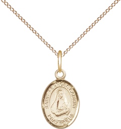 [9011GF/18GF] 14kt Gold Filled Saint Frances Cabrini Pendant on a 18 inch Gold Filled Light Curb chain