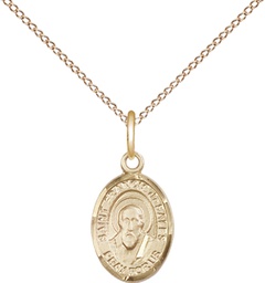 [9035GF/18GF] 14kt Gold Filled Saint Francis de Sales Pendant on a 18 inch Gold Filled Light Curb chain