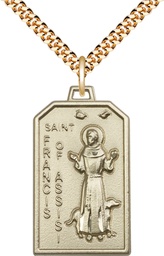 [5724GF/24G] 14kt Gold Filled Saint Francis Pendant on a 24 inch Gold Plate Heavy Curb chain