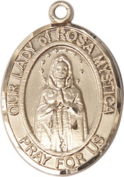 [7413KT] 14kt Gold Our Lady of Rosa Mystica Medal