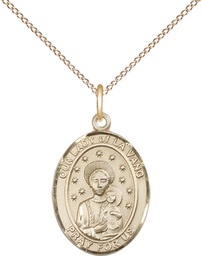 [8115GF/18GF] 14kt Gold Filled Our Lady of la Vang Pendant on a 18 inch Gold Filled Light Curb chain