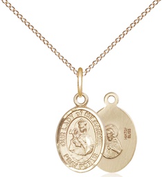 [9243GF/18GF] 14kt Gold Filled Our Lady of Mount Carmel Pendant on a 18 inch Gold Filled Light Curb chain