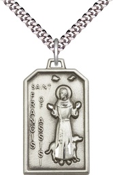 [5724SS/24S] Sterling Silver Saint Francis Pendant on a 24 inch Light Rhodium Heavy Curb chain