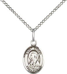 [9123SS/18SS] Sterling Silver Saint Brigid of Ireland Pendant on a 18 inch Sterling Silver Light Curb chain