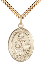 [7349GF/24G] 14kt Gold Filled Saint Giles Pendant on a 24 inch Gold Plate Heavy Curb chain