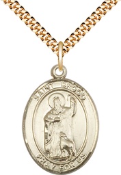 [7386GF/24G] 14kt Gold Filled Saint Drogo Pendant on a 24 inch Gold Plate Heavy Curb chain